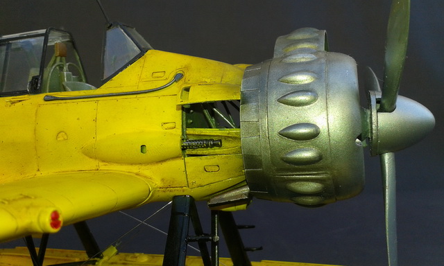 ipms mar del plata