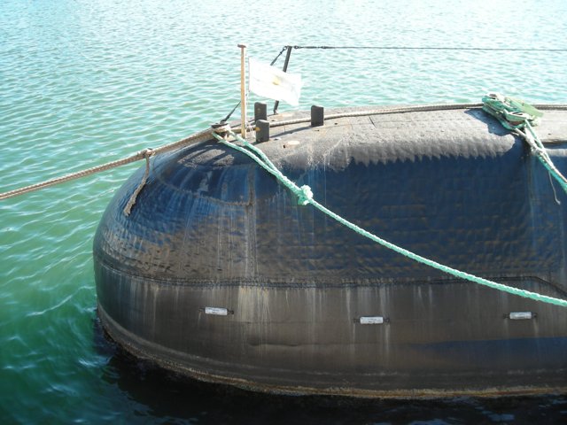 ARA San Juan