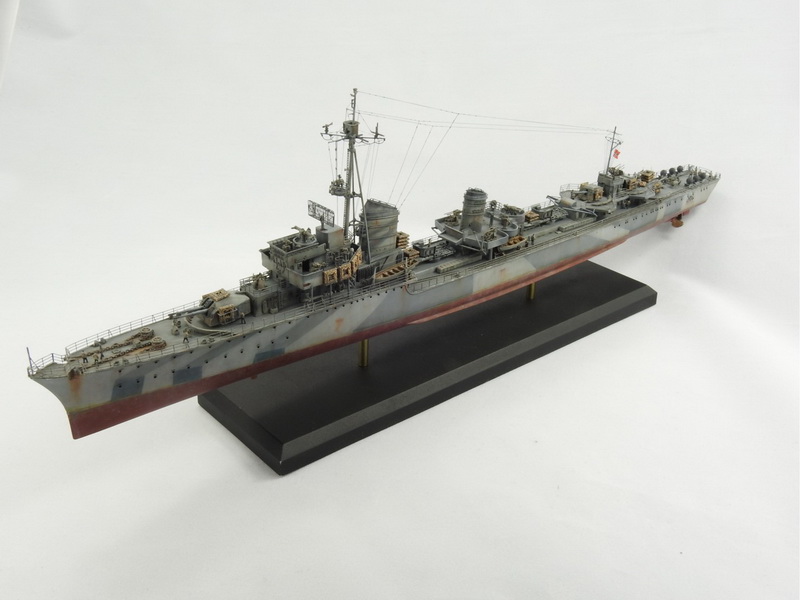 ipms mar del plata