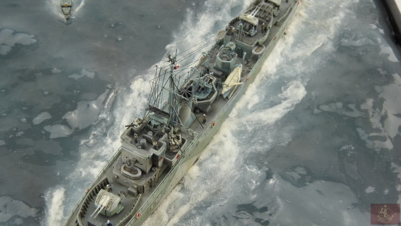 ipms mar del plata