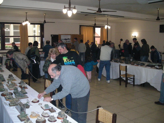 ipms mar del plata