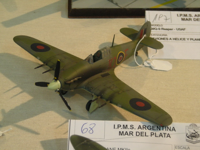 ipms mar del plata