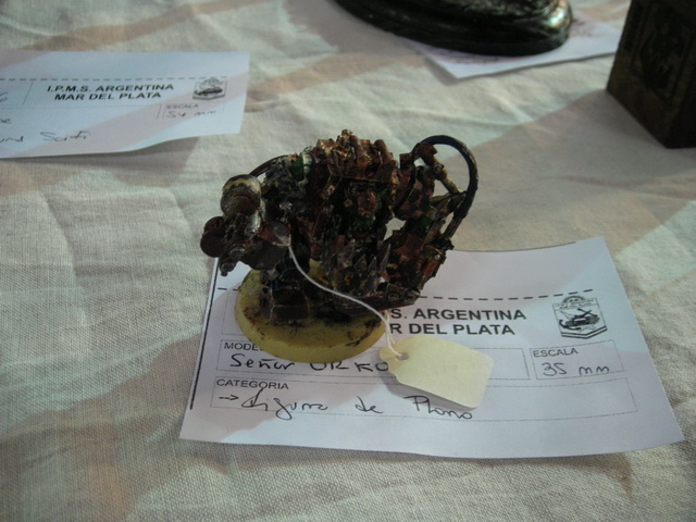 ipms mar del plata