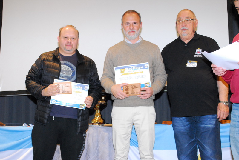 ipms mar del plata