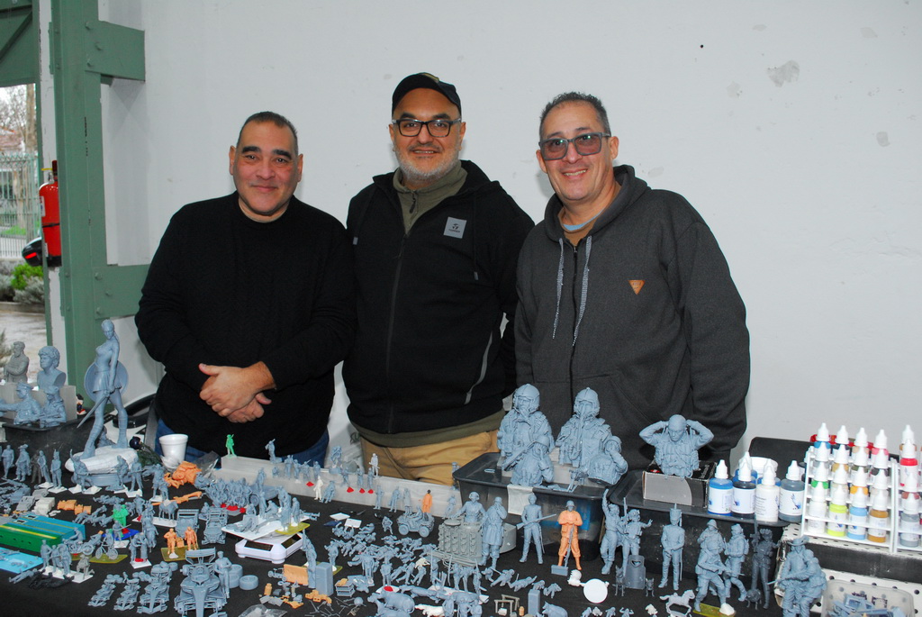 ipms mar del plata