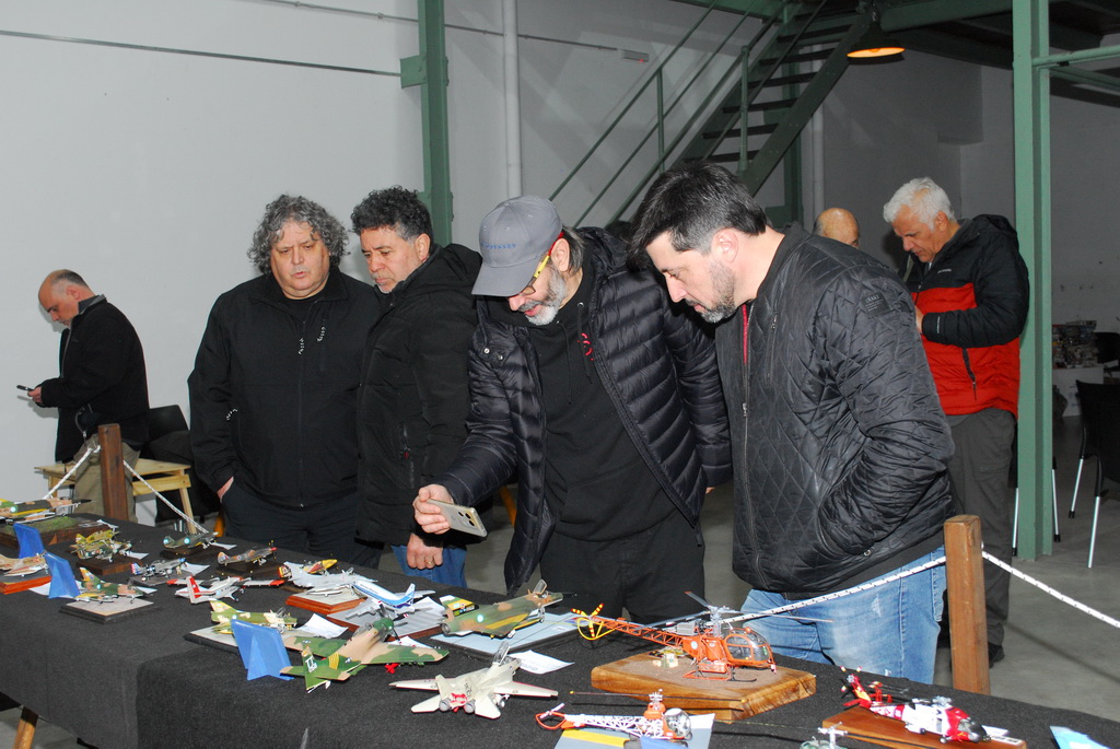 ipms mar del plata