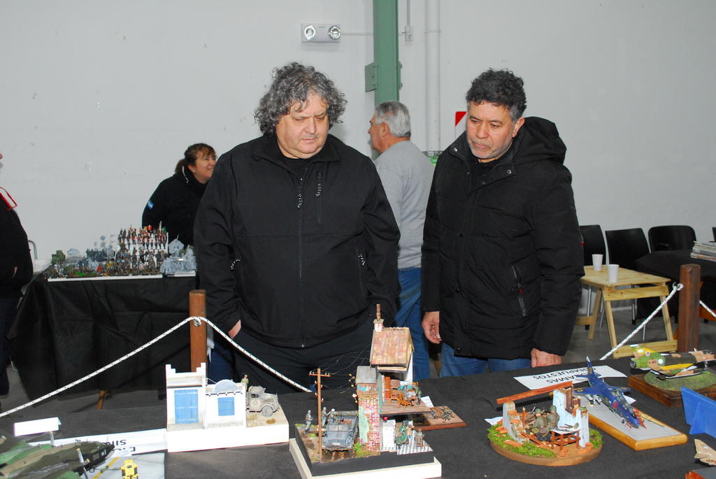 ipms mar del plata
