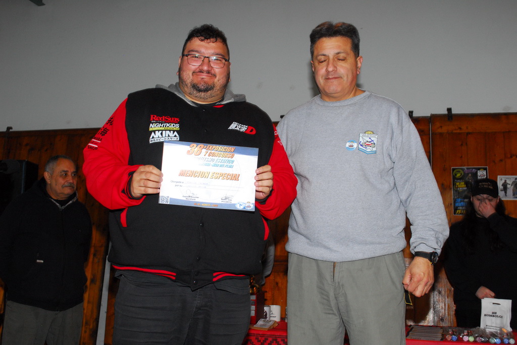 ipms mar del plata