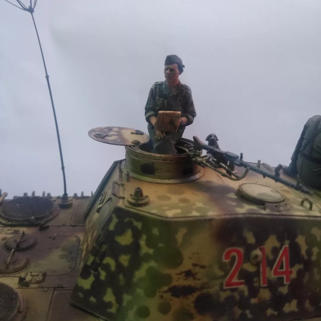 PANTHER D